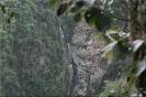 CAÑÓN SAN CRISTÓBAL
